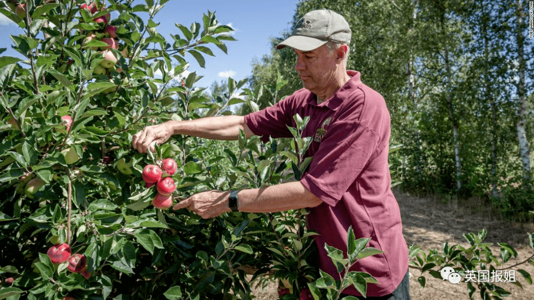 开元棋牌官网-西班牙国家队最新
