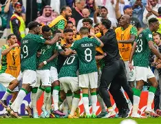 张本智和苦战5局不敌林昀儒